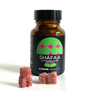 Shafaa Evolve Magic Mushroom Microdosing Gummy Bears